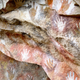 Illustration for article titled Scientists Think Cavemen Painted While High on Hallucinogenic Drugs